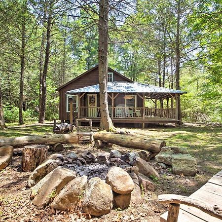 Clearwater Cabin On 10 Acres With Trout Stream! Monterey Экстерьер фото
