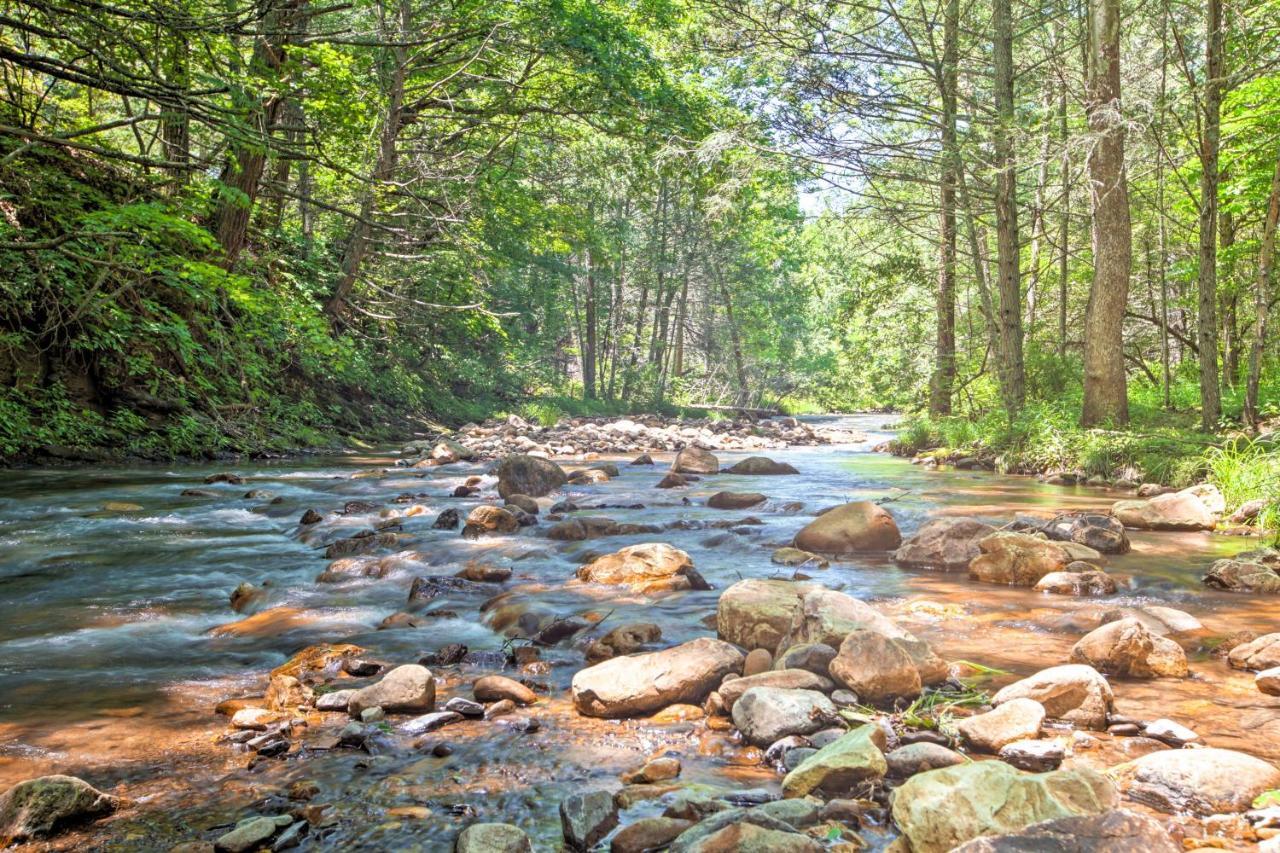 Clearwater Cabin On 10 Acres With Trout Stream! Monterey Экстерьер фото